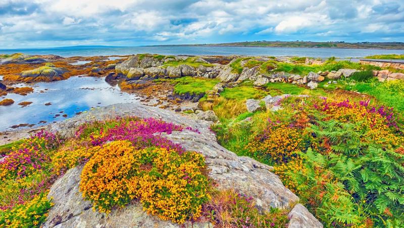 Národní park Burren a pohled na jeho rozkvetlá prostranství. 