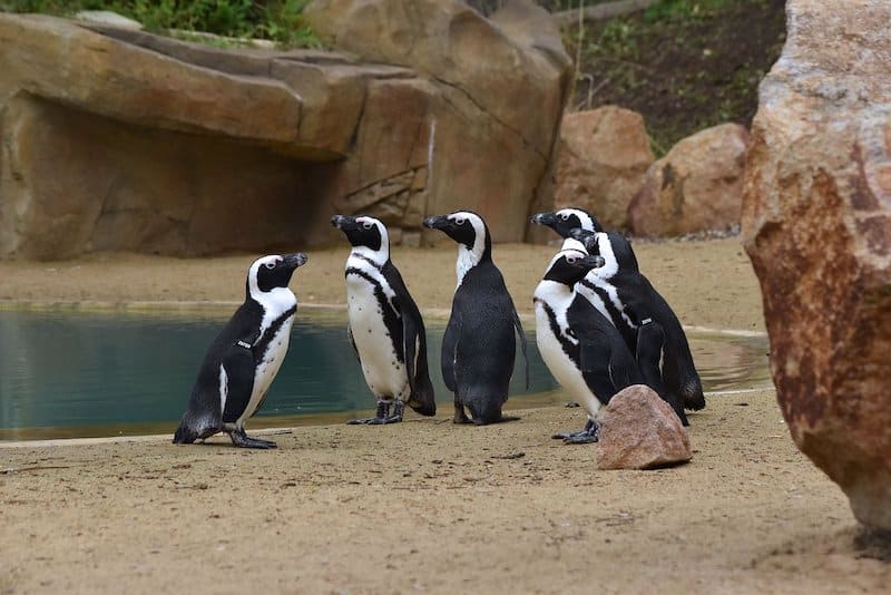 Zoologická zahrada v Ústí.