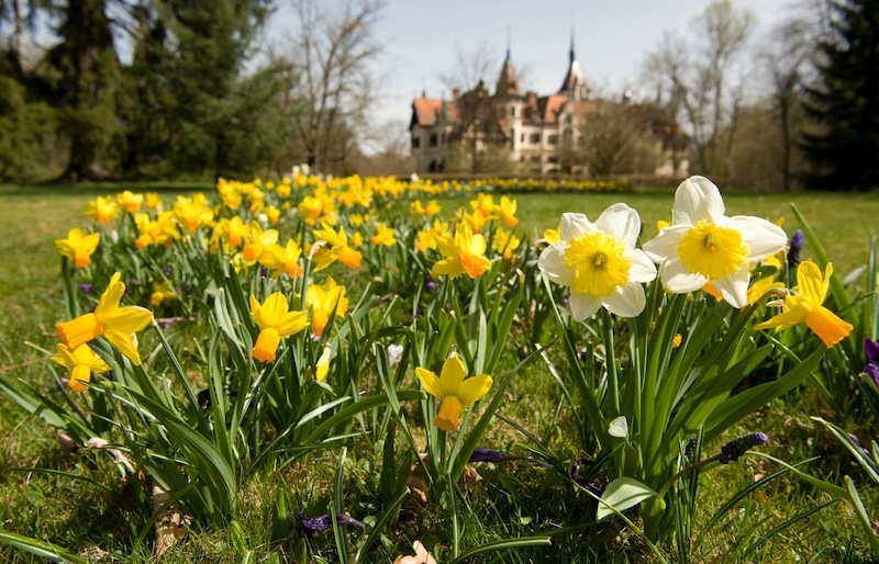 Park u zámku Lešná.